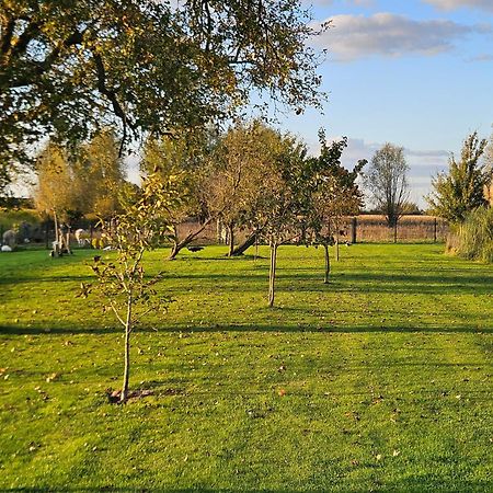Gite Esprit Loft Fromelles Buitenkant foto