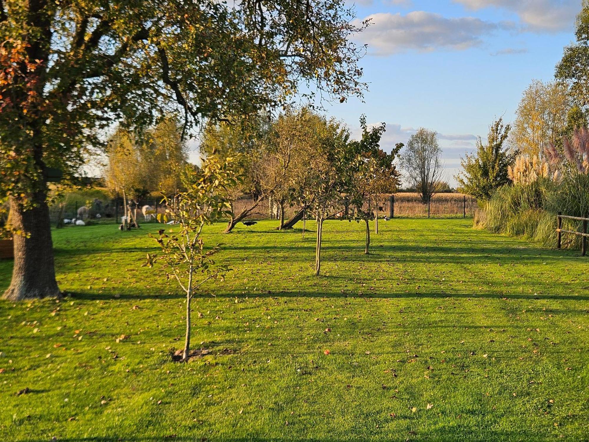 Gite Esprit Loft Fromelles Buitenkant foto